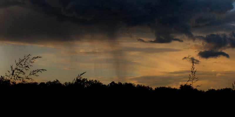 Regenüber dem Raader Wald